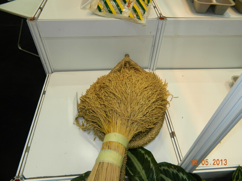 ITEX 2013 - 5 ITEX 2013 - 5